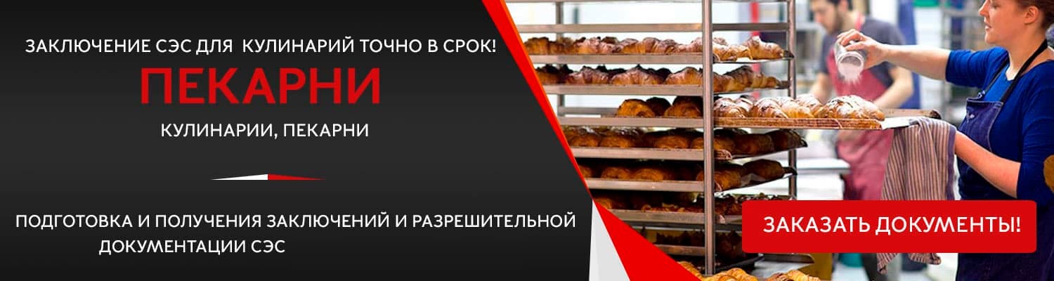 Документы для открытия пекарни в Электроуглях